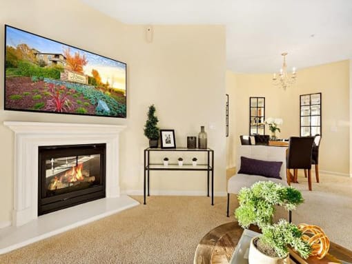 fireplace and television
