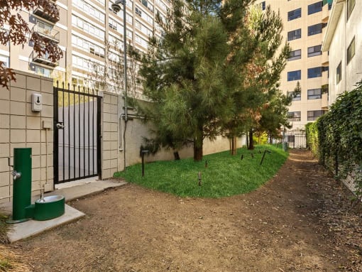 a grassy area with trees in front of a building at The View, Los Angeles, 90005