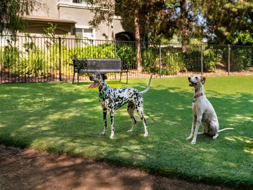 Dog Park  at Eagle Glen Apartments, Murrieta, 92563