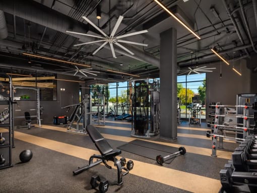 fitness center