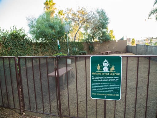 Dog Park