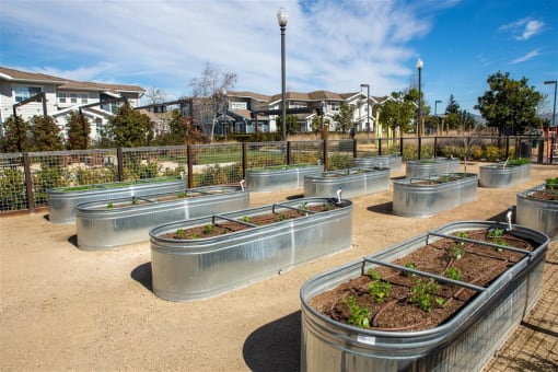 community garden at Montiavo, California, 93455 