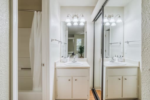 a bathroom with a sink and a mirror and a shower