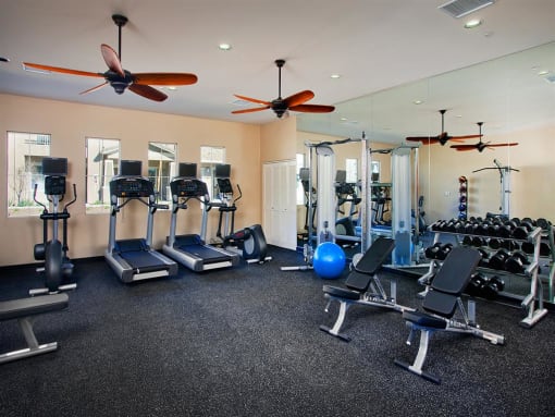 Fitness Center at Oak Springs Ranch, 92595