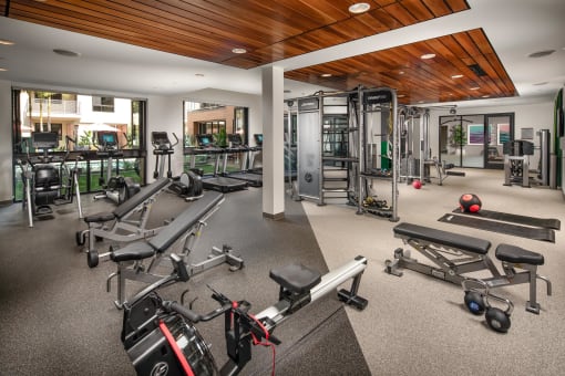 Gym