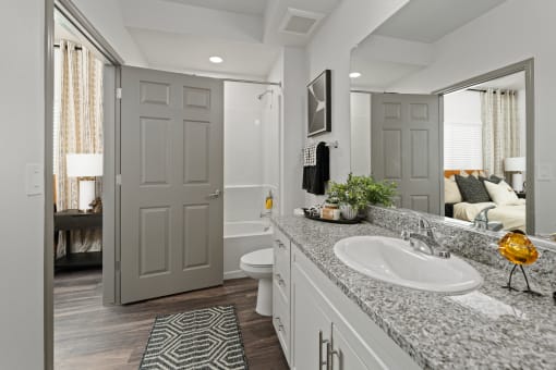 a bathroom with a sink and a toilet and a mirror
