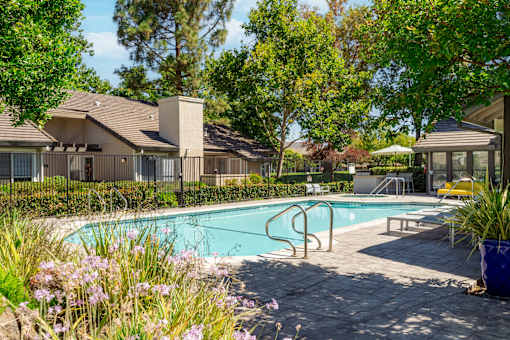 A pool surrounded by a patio and trees.