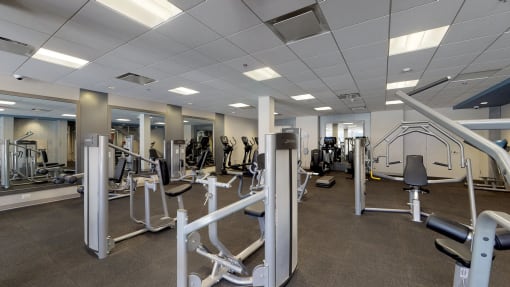 a fully equipped gym with weights and cardio equipment