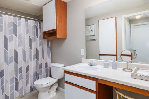 a bathroom with a white toilet next to a sink and a mirror