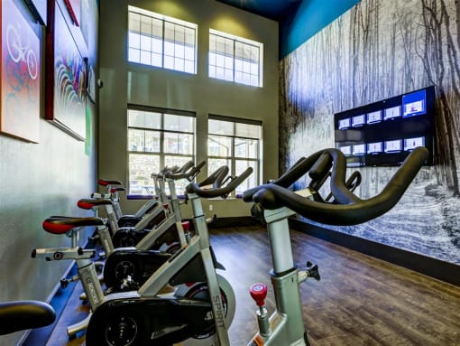 spin bikes fitness center