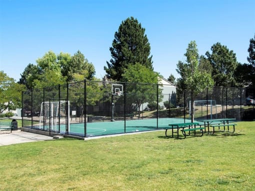 our apartments showcase an outdoor basketball court