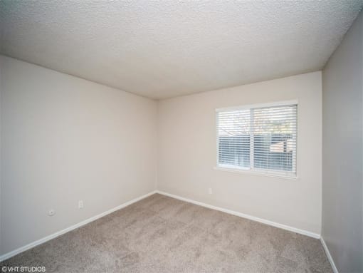 a bedroom with a window and a carpeted floor