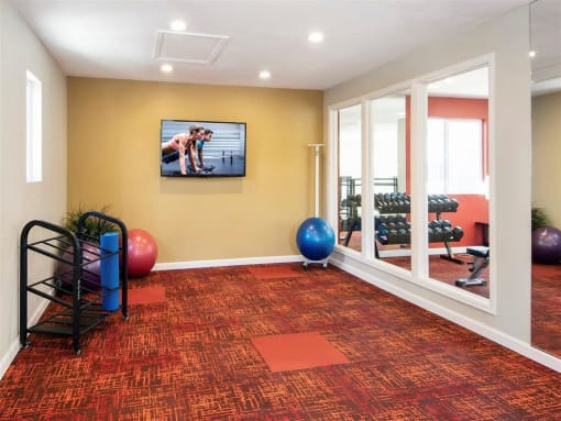 a gym with a tv on the wall