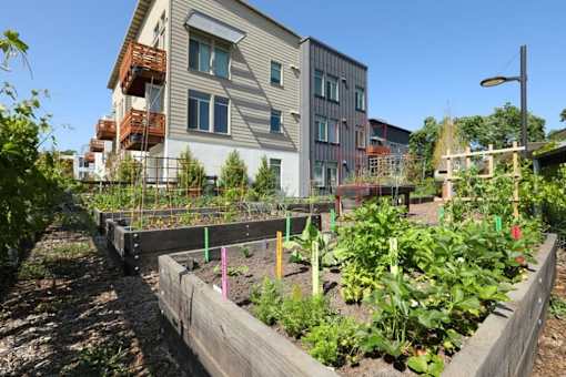 A garden in front of a building with apartment windows.