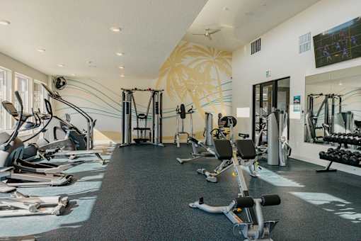 A gym with a variety of equipment including treadmills, weights, and exercise machines.
