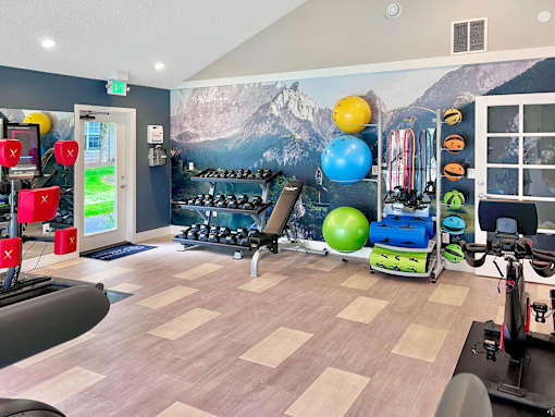A gym with a variety of equipment including a treadmill, weights, and exercise balls