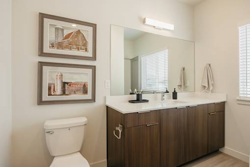 A white toilet sits next to a bathroom vanity with a mirror above it.
