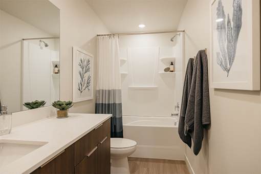 A bathroom with a white countertop and a white sink.