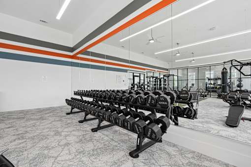 A gym with a row of black dumbbells on a rack.