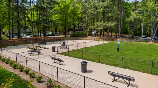 Pet Park