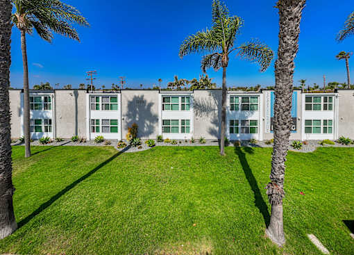 A row of houses with palm trees in front.