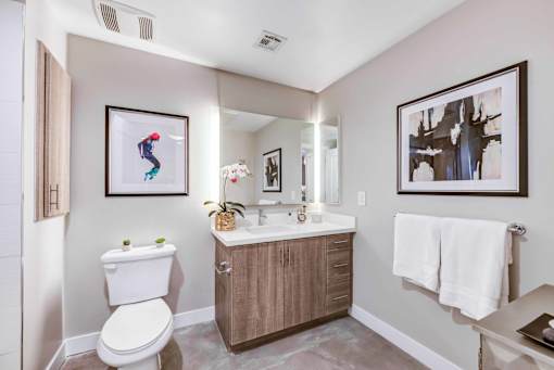 bathroom in model unit