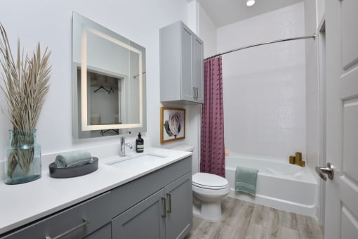 Bathroom with mirror at The Flats at West Alabama, Houston, Texas