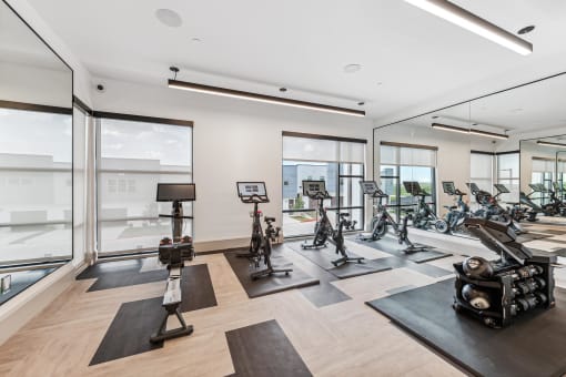 a gym with a large amount of exercise equipment and windows