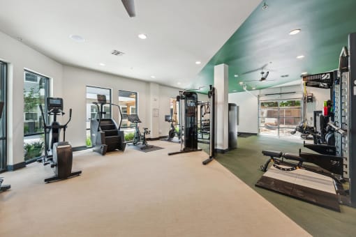 gym with weights and cardio equipment on a green wall