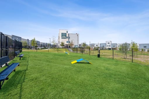 fenced in dog park