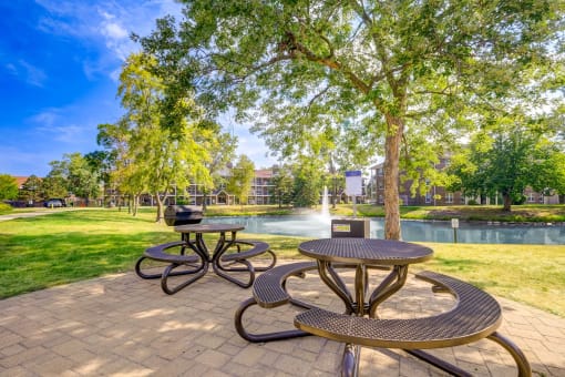 a group of picnic tables in a park next to a pond