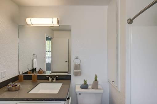 A bathroom with a sink, mirror, and toilet.
