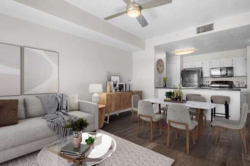 Living Room and Kitchen