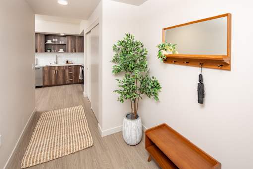A hallway with a potted plant, a mirror, and a bench.