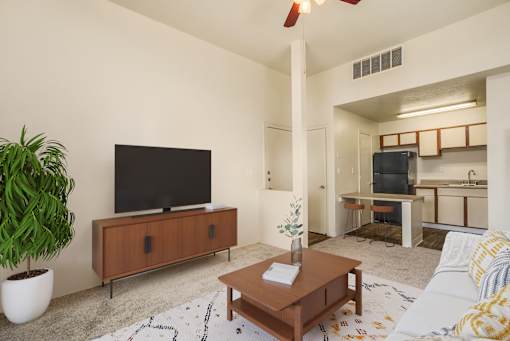 A living room with a television, a plant, and a bed.