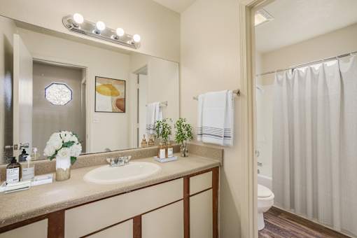 A bathroom with a sink, mirror, and toilet.