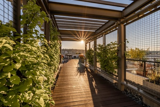Equinox Rooftop Terrence Entrance  at Equinox Apartments, Washington, 98102