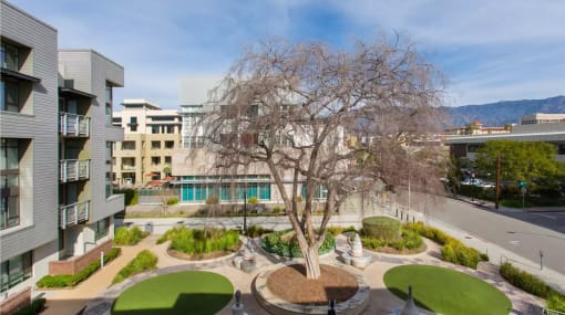 Far Out Courtyard Westgate