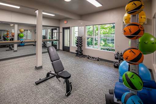A gym with a bench, weights, and exercise balls.