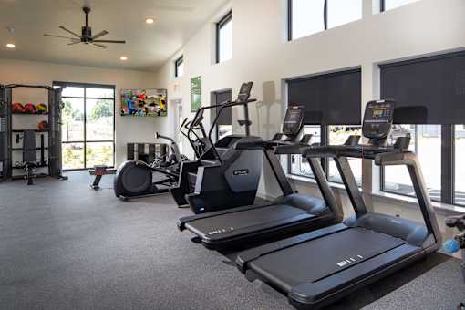 A gym with treadmills, elliptical machines, and a fan.