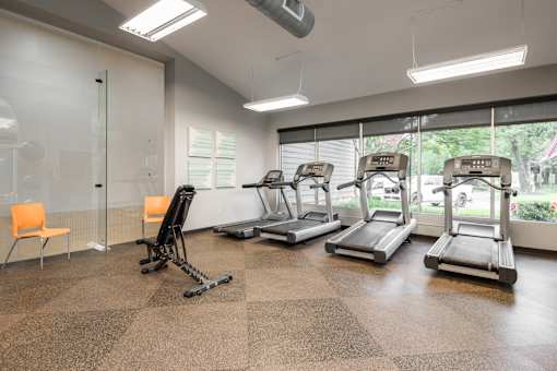 A gym with treadmills, a stationary bike, and a rowing machine.