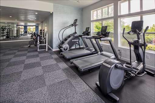 A gym with treadmills, elliptical machines, and other exercise equipment.