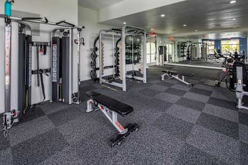 A gym with a variety of equipment including a squat rack, bench, and weights.