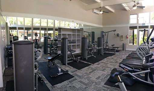 A gym with a variety of equipment including treadmills, weights, and exercise machines.