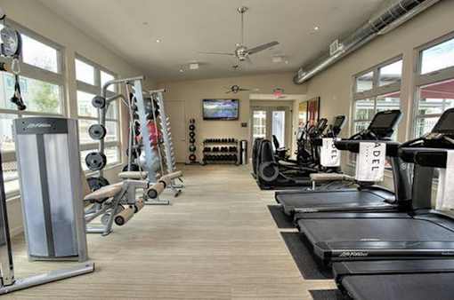 A gym with treadmills, weights, and exercise equipment.