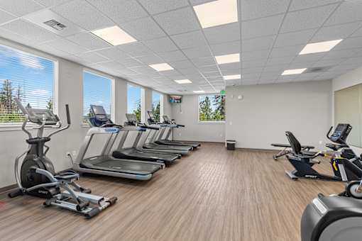 A gym with treadmills and exercise bikes.