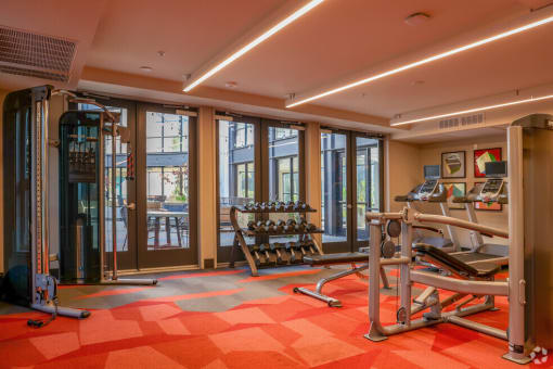 a gym with cardio machines and weights in a room