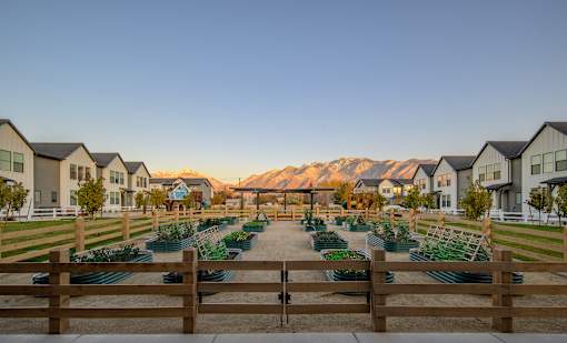 A row of houses with vegetable gardens in front of them.