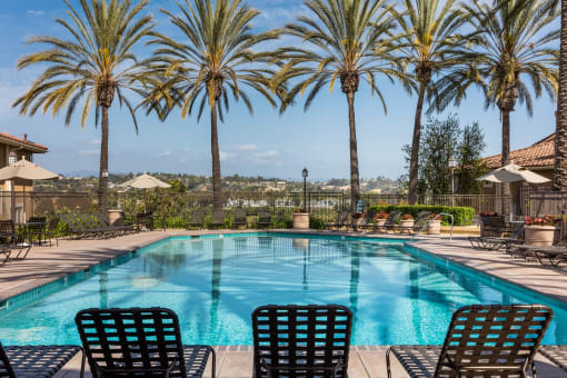a pool with chairs and palm trees in the background