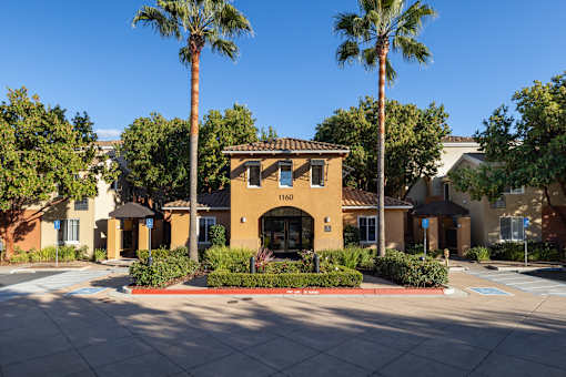 A building with the number 1160 on it is surrounded by palm trees.